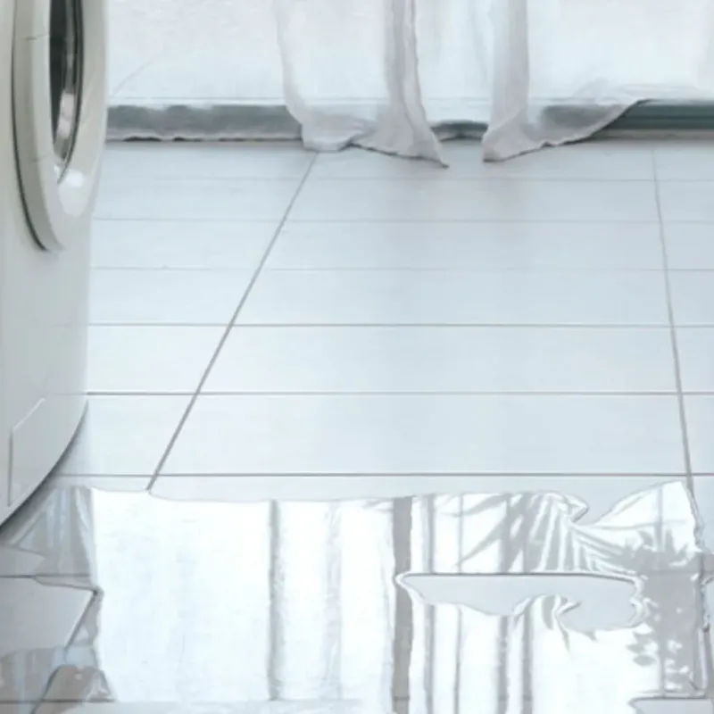 Appliance Leak Cleanup in Englewood, IL