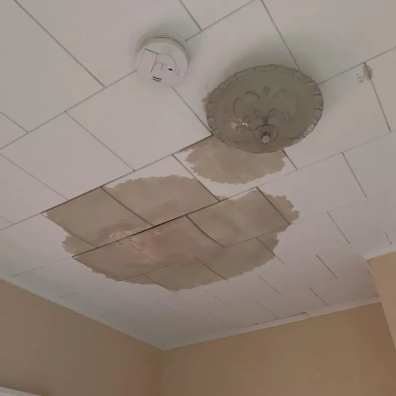 Ceiling Water Damage Repair in Englewood, IL